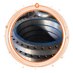 AISI 304 Forged Flange