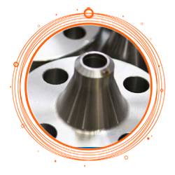 AISI 317L Reducing Flange