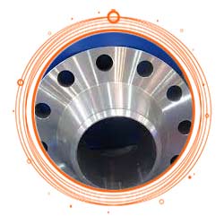 ASME SA182 F304 Weld Neck Flange