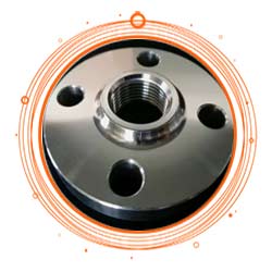 ASME SB 564 N02201 Threaded Flange