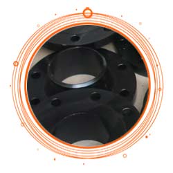 ASTM A105 Flange