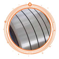 ASTM A240 Grade 316 Strips