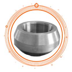 ASTM A403 Wp317l Thredolet