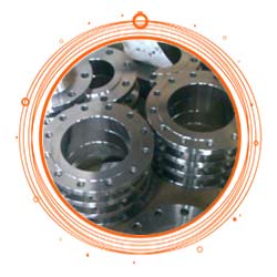 ASTM B564 N02200 Forged Flange