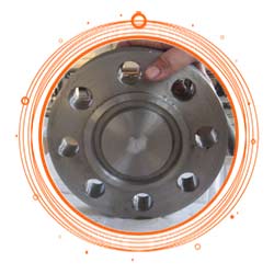 Hastelloy Alloy Blind Flange