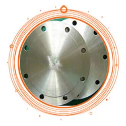 Hastelloy Alloy BLRF Flange