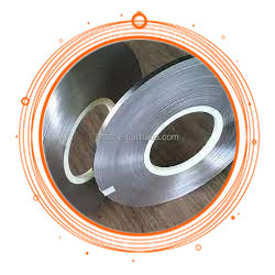 Hastelloy Material Strip