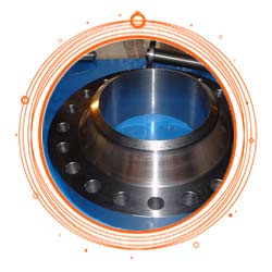 INOX 304L Forged Flange