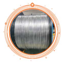 Nickel 200 Chemical Injection Line