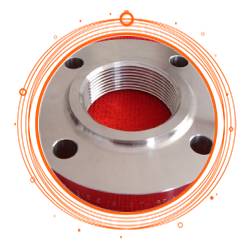 SA 182 F 316L Threaded Flange
