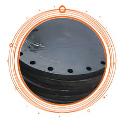 SA350 LF2 Blind Flange