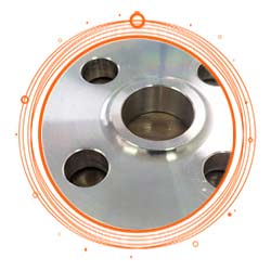 SS 304L Slip on Flange