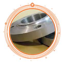 SS 317L Reducing Threaded Flange