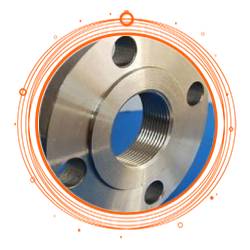 SS 317L Threaded Flange