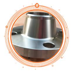 SS 317L Weld Neck Flange