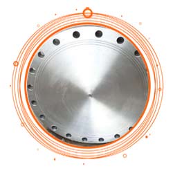 SS Blind Flange