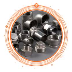 Stainless Steel 304L Fittings