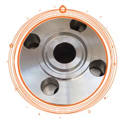 Stainless Steel 304L Flanges