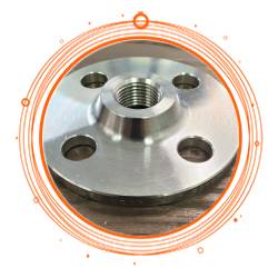 Stainless Steel 316 Threaded Flange