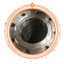 Stainless Steel 317L Flanges