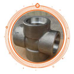 Stainless Steel 317L Forged Fittings