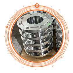 Stainless Steel 317L Socket Weld Flange