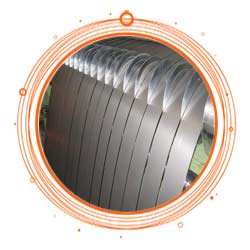 Stainless Steel Duplex Strip