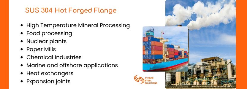 SUS 304 Hot Forged Flange   