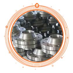 SUS 304 Weld Neck Flange