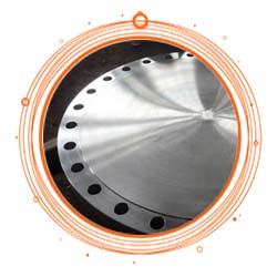 SUS 304L Blind Flange