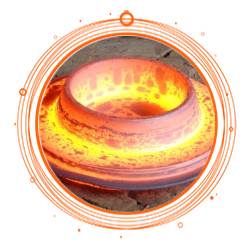 SUS 316L Hot Forged Flange