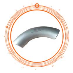 SUS 317L 45 Degree Bend