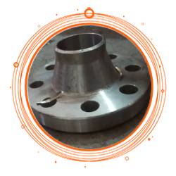 SUS 317L Raised Face WN Flanges