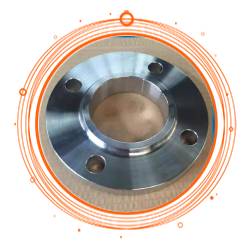 UNS S31600 Forged Pipe Flange