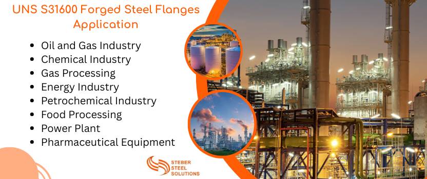 UNS S31600 Forged Steel Flanges Application